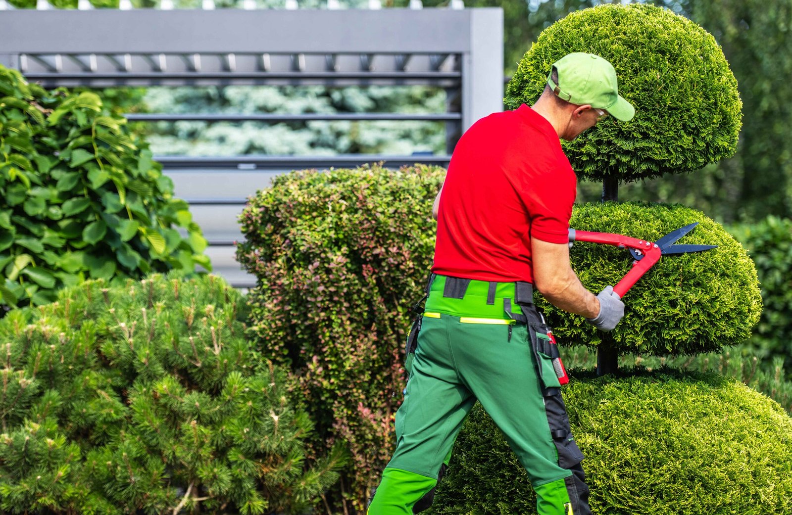 Gardner Trimming Trees