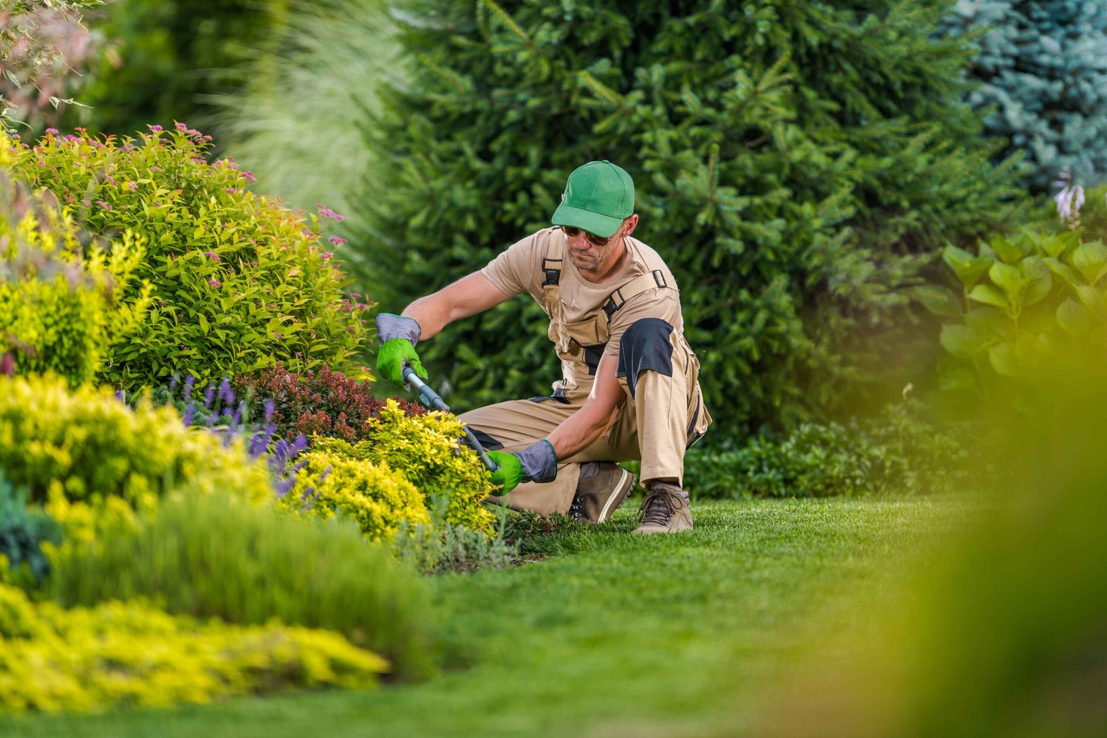 Gardener with flowering plants