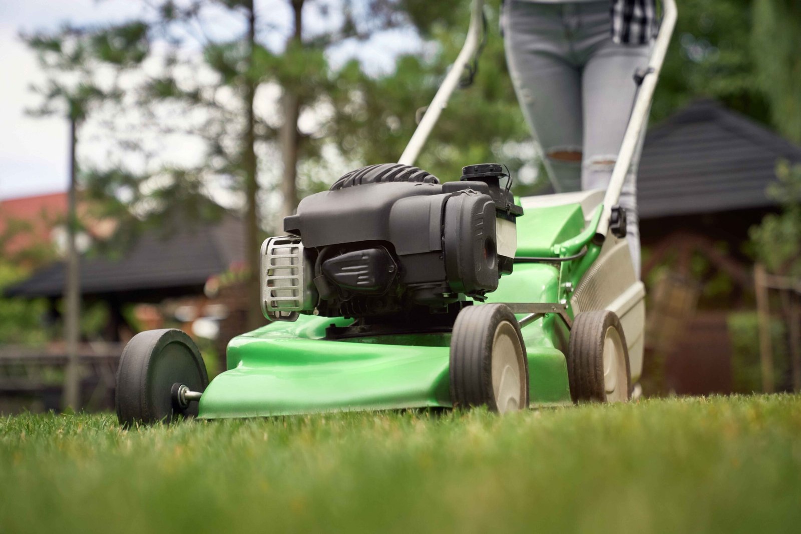 Landscape Lawn Cutting