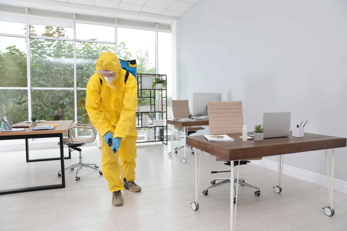 Pest control worker spraying in office for pest control