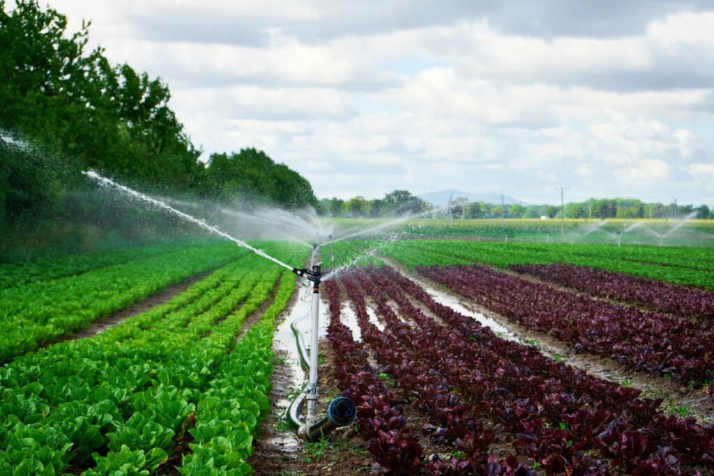 Sprinkler irrigation system at field