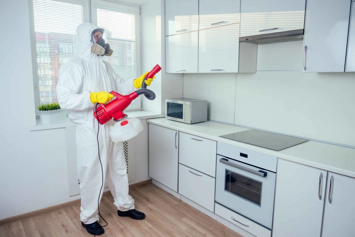 Worker spraying pesticide induction hob