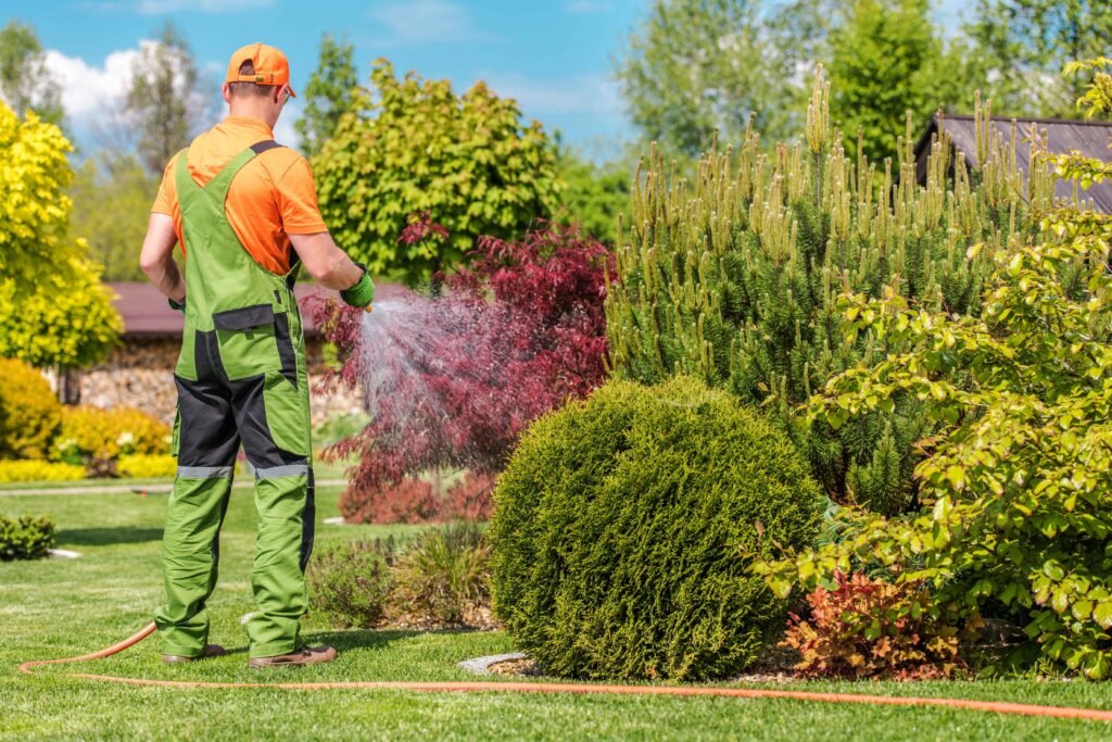 men-watering-garden-plants