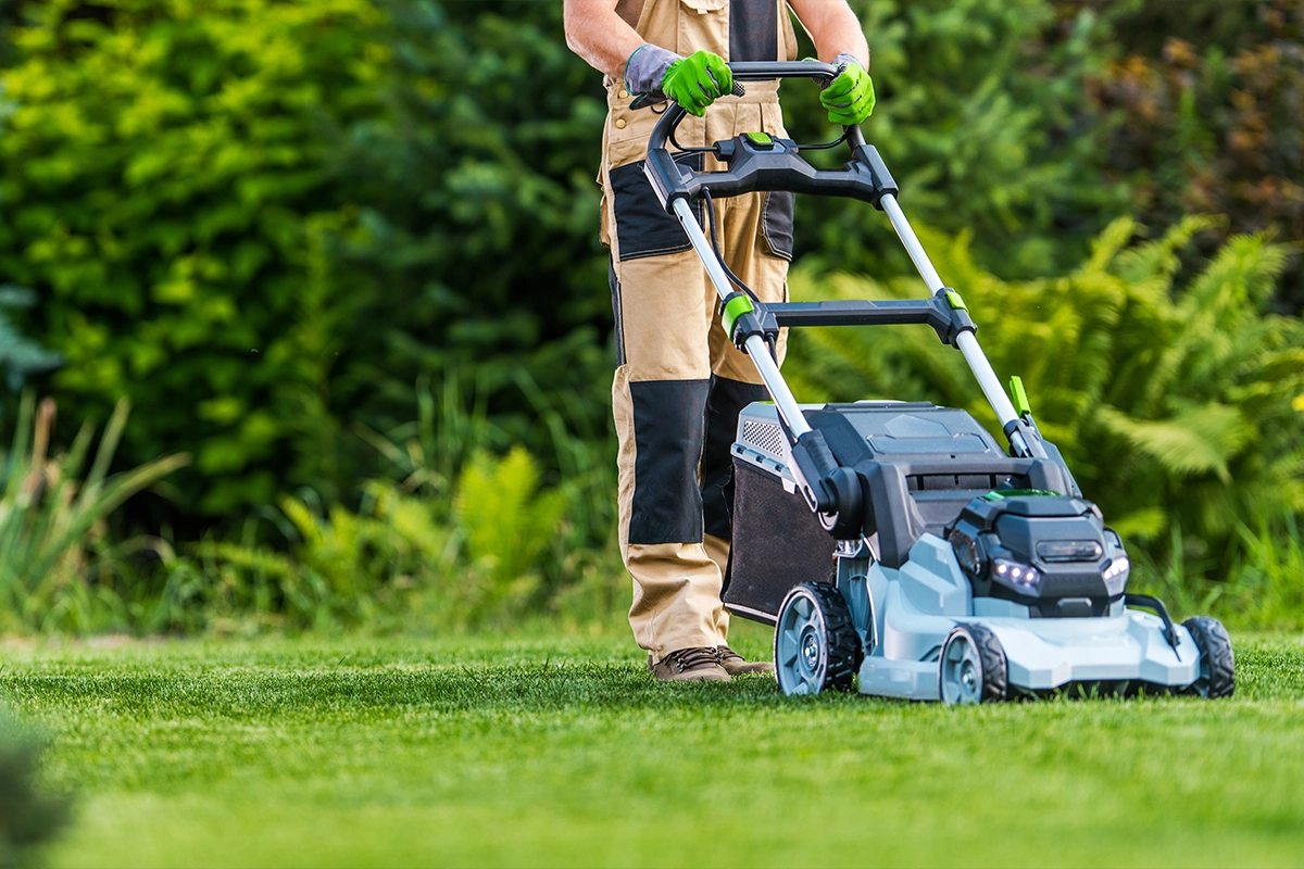 Lawn Work