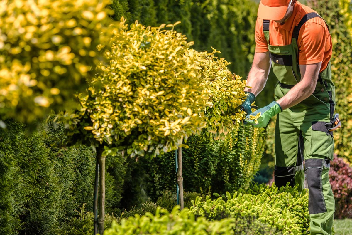 garding seasonal work services in saudi arabia