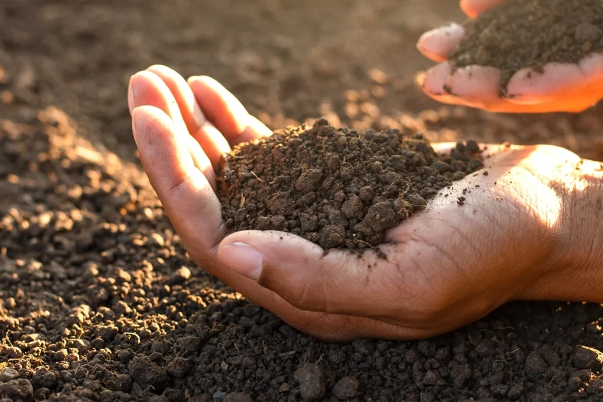 soil care services in saudi arabia