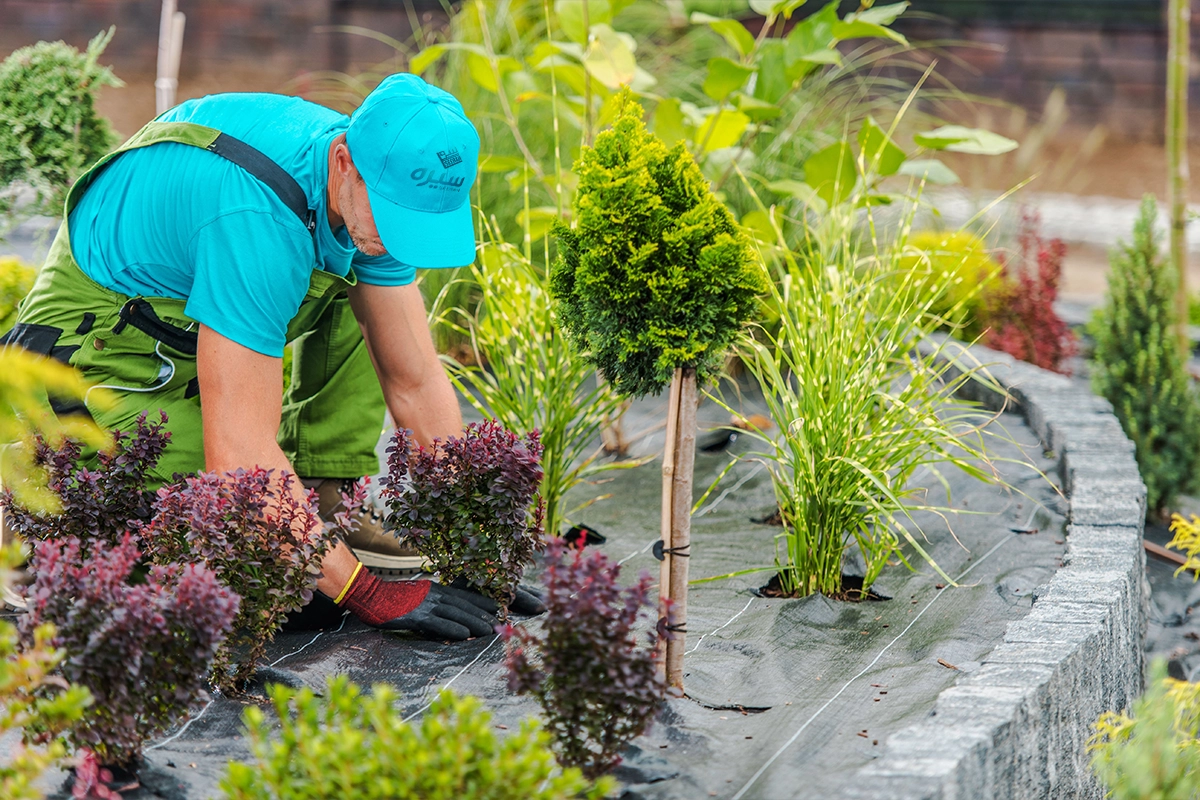 What Our Expert Gardeners Do