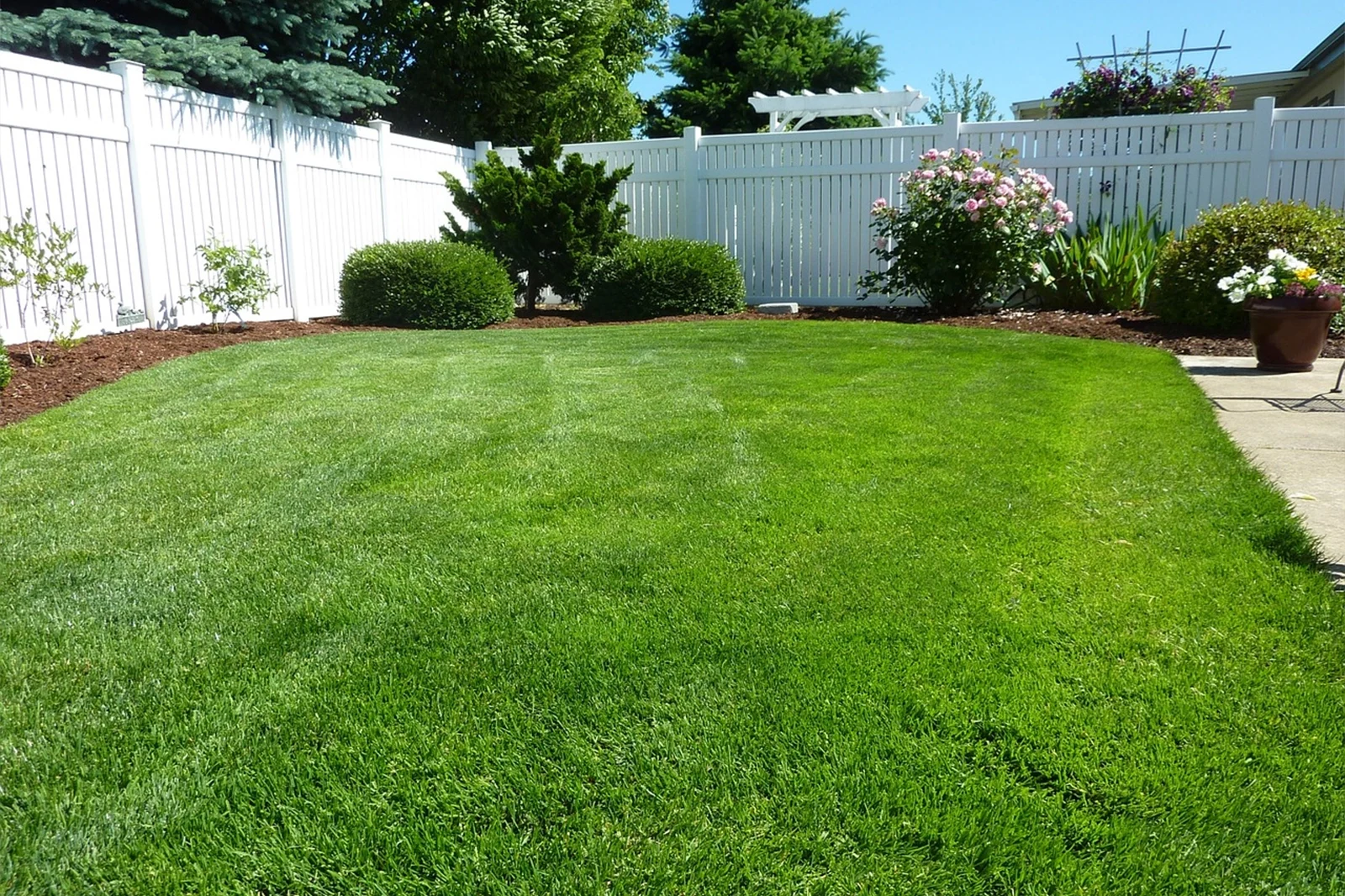 Yard Check services in saudi arabia
